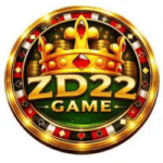 DZ22 Game
